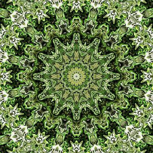 Preview wallpaper fractal, pattern, circles, shapes, abstraction, green