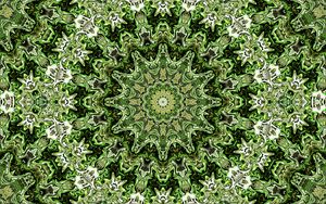 Preview wallpaper fractal, pattern. circles, shapes, abstraction, green