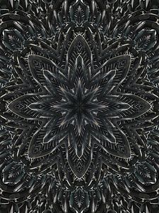 Preview wallpaper fractal, pattern, flower, abstraction, black and white