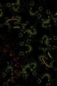 Preview wallpaper fractal, pattern, green, dark, abstraction