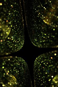 Preview wallpaper fractal, patterns, shine, space, dark