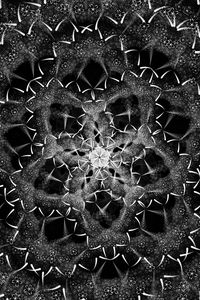 Preview wallpaper fractal, shapes, intersection, black and white