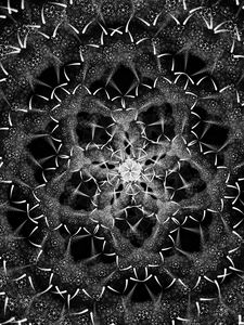 Preview wallpaper fractal, shapes, intersection, black and white