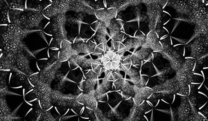 Preview wallpaper fractal, shapes, intersection, black and white