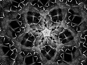 Preview wallpaper fractal, shapes, intersection, black and white