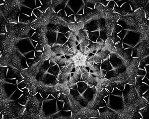 Preview wallpaper fractal, shapes, intersection, black and white