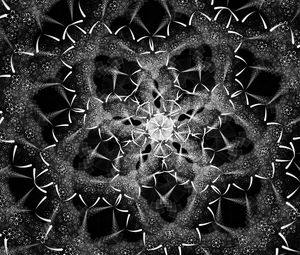 Preview wallpaper fractal, shapes, intersection, black and white