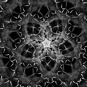 Preview wallpaper fractal, shapes, intersection, black and white