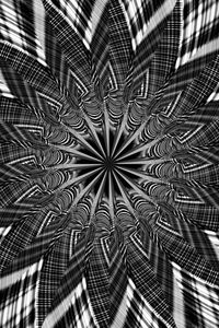 Preview wallpaper fractal, shapes, lines, abstraction, black and white