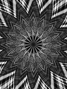 Preview wallpaper fractal, shapes, lines, abstraction, black and white