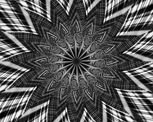 Preview wallpaper fractal, shapes, lines, abstraction, black and white