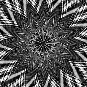 Preview wallpaper fractal, shapes, lines, abstraction, black and white