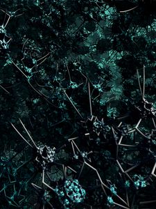 Preview wallpaper fractal, structure, tangled, 3d