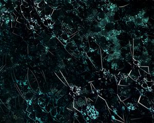 Preview wallpaper fractal, structure, tangled, 3d