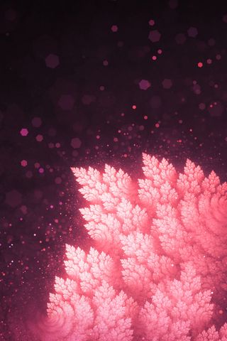 320x480 Wallpaper fractals, leaves, abstraction, pink