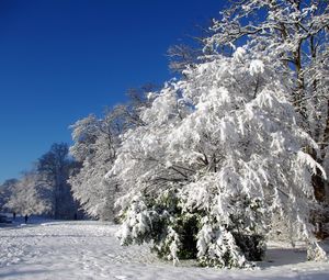Preview wallpaper france, velizi-vilakubl, trees, hoarfrost, snow, winter, clearly