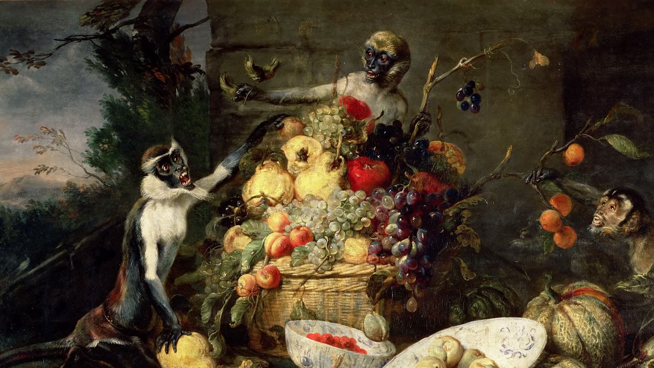 Wallpaper frans snyders, monkeys stealing fruit, picture, baroque, flanders