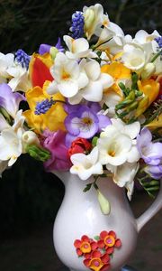 Preview wallpaper freesia, muscari, flowers, pot, beautifully