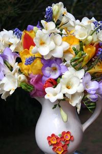 Preview wallpaper freesia, muscari, flowers, pot, beautifully