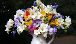 Preview wallpaper freesia, muscari, flowers, pot, beautifully