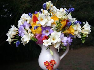 Preview wallpaper freesia, muscari, flowers, pot, beautifully