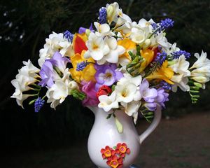 Preview wallpaper freesia, muscari, flowers, pot, beautifully