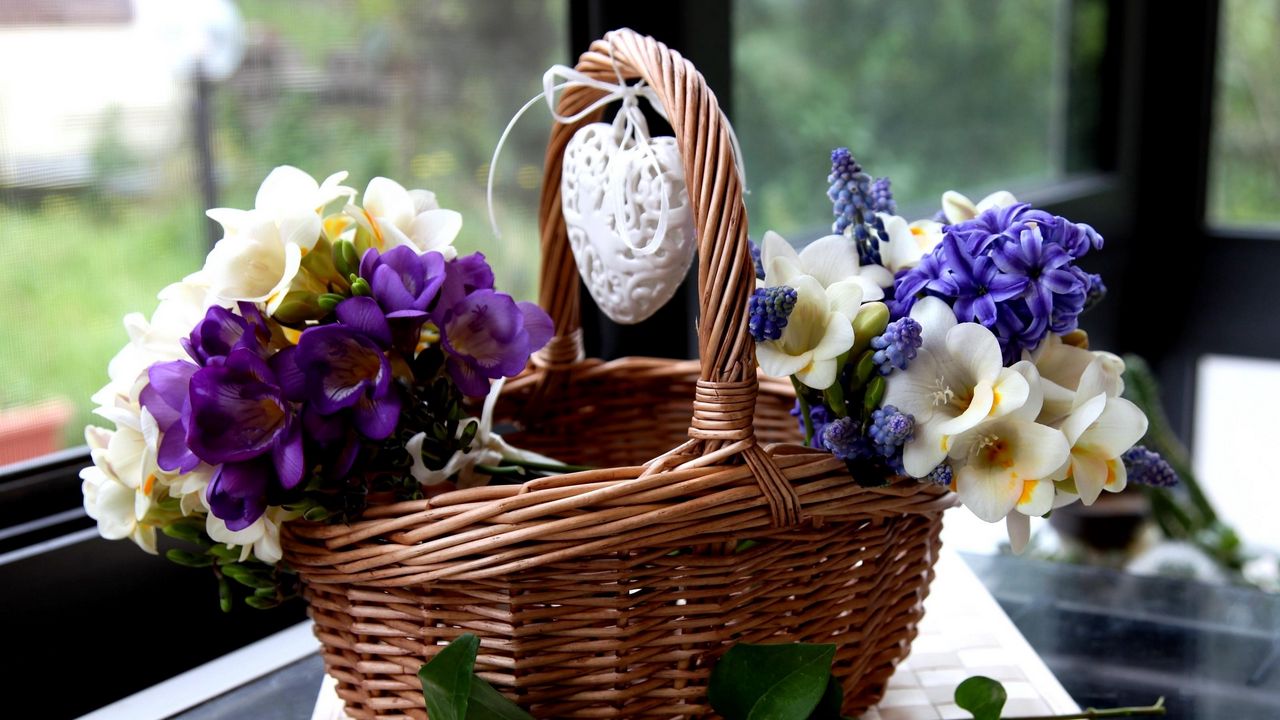 Wallpaper freesia, muscari, hyacinth, periwinkle, flowers, basket, heart