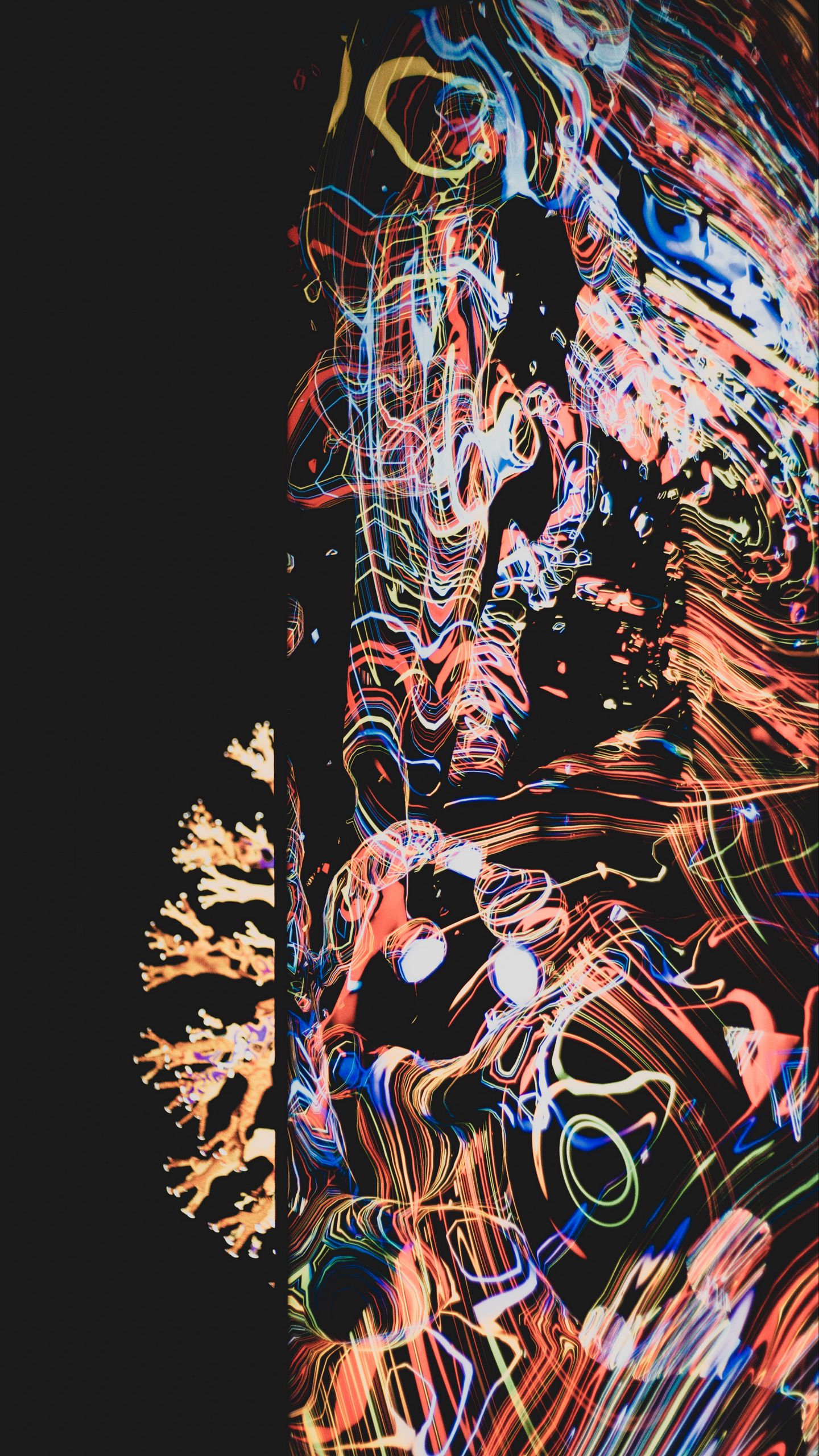 1440x2560 Wallpaper freezelight, long exposure, multicolored, dark