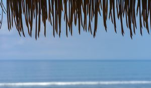Preview wallpaper fringe, leaves, sea, water, horizon