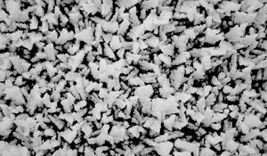 Preview wallpaper frost, ice, crystals, winter, black and white