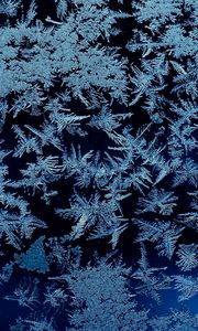 Preview wallpaper frost, ice, macro, frozen