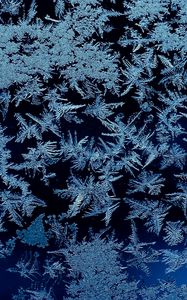 Preview wallpaper frost, ice, macro, frozen