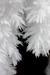 Preview wallpaper frost, macro, black and white