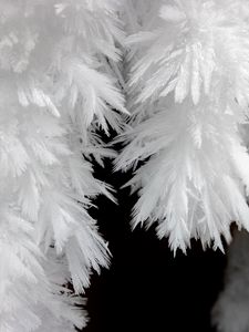 Preview wallpaper frost, macro, black and white
