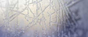 Preview wallpaper frost, pattern, glass, macro