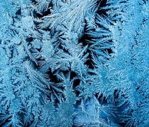 Preview wallpaper frost, pattern, macro, blue