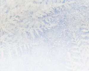 Preview wallpaper frost, pattern, snow, winter, macro