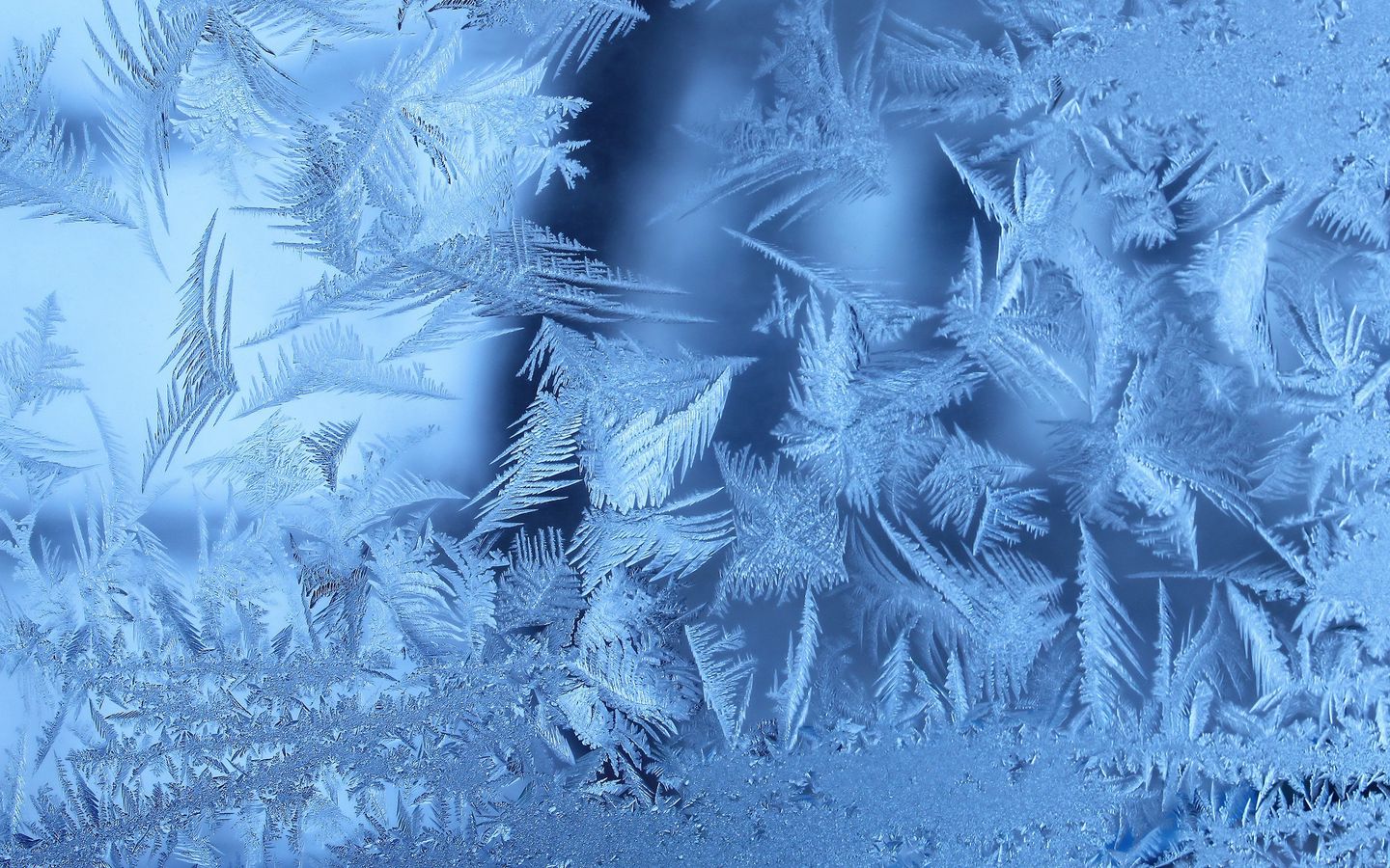Free download frost blue background glass winter window ice wallpaper  background 3264x2032 for your Desktop Mobile  Tablet  Explore 42 Frost  Wallpaper  Emma Frost Wallpaper Frost Mage Wallpaper Jack Frost Wallpaper