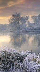Preview wallpaper frost, river, morning, grass, trees, hoarfrost, sky