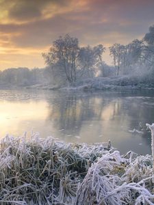 Preview wallpaper frost, river, morning, grass, trees, hoarfrost, sky