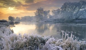 Preview wallpaper frost, river, morning, grass, trees, hoarfrost, sky