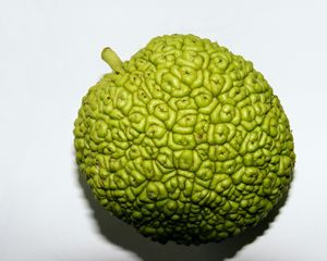 Preview wallpaper fruit, apple, useful
