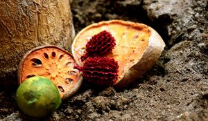 Preview wallpaper fruit, exotic, halves