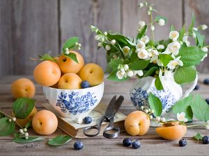 Preview wallpaper fruits, berries, apricots, blueberries, jasmine