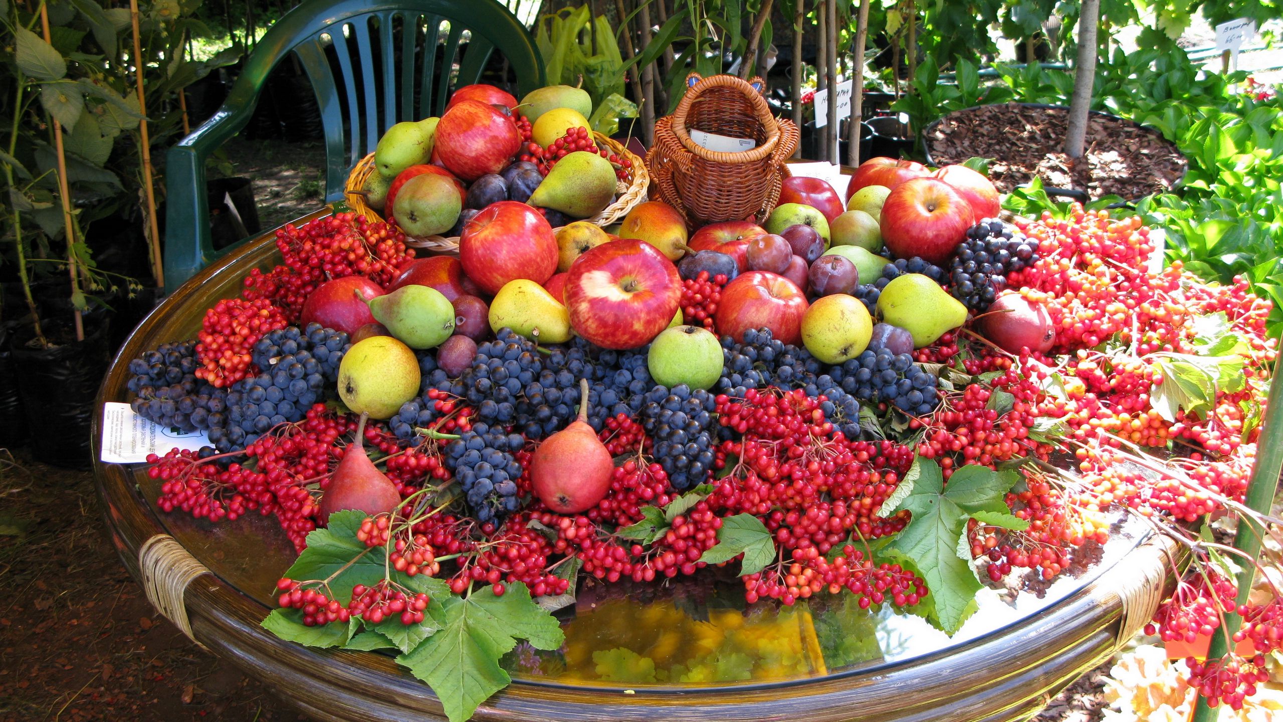 Download wallpaper 2560x1440 fruits, berries, table, a lot of