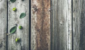 Preview wallpaper fruits, leaves, boards, tree, wooden