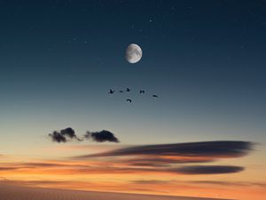 Preview wallpaper full moon, birds, desert, starry sky