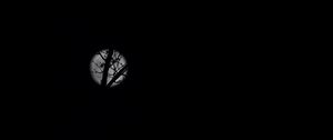 Preview wallpaper full moon, moon, branches, bushes, black