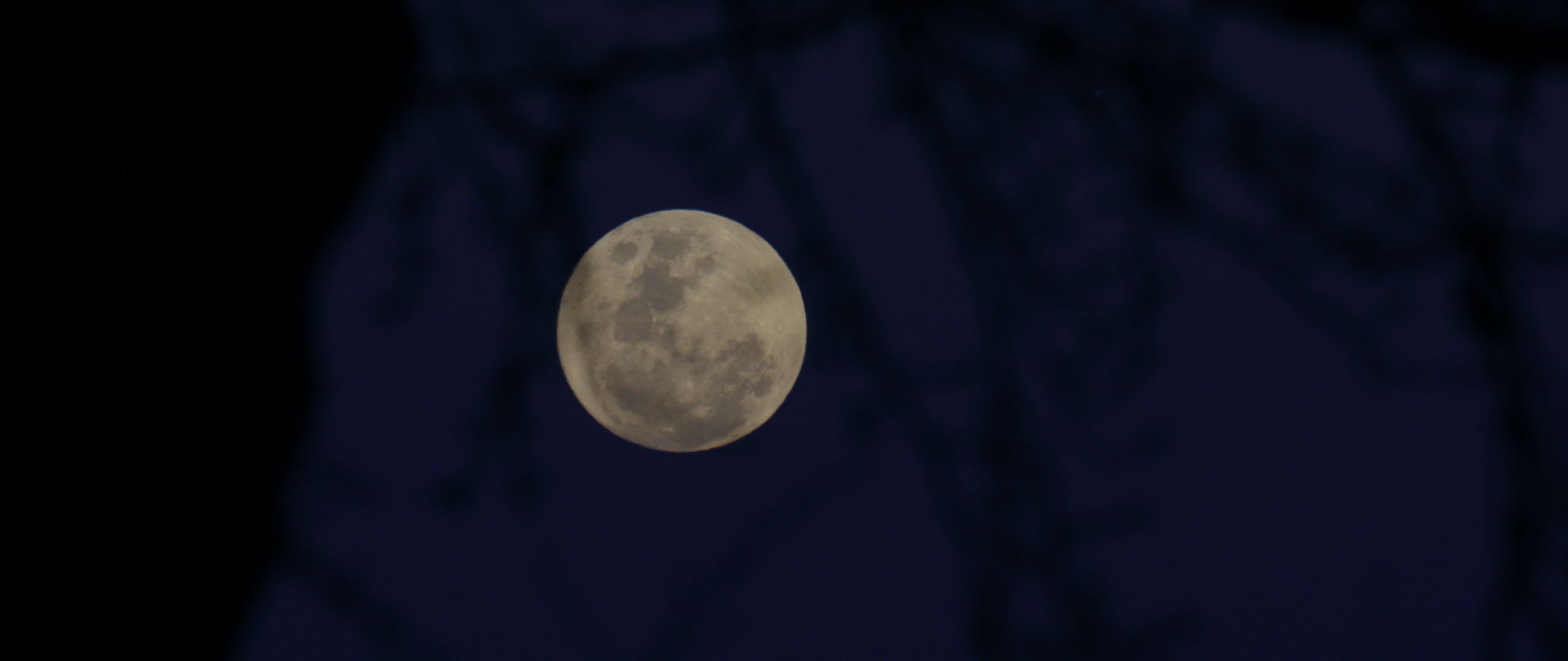 Download wallpaper 2560x1080 full moon, moon, branches, silhouettes