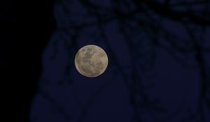 Preview wallpaper full moon, moon, branches, silhouettes, night, dark